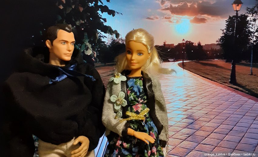 Цветы шиповника. Часть 17. Во всем виноват велосипед