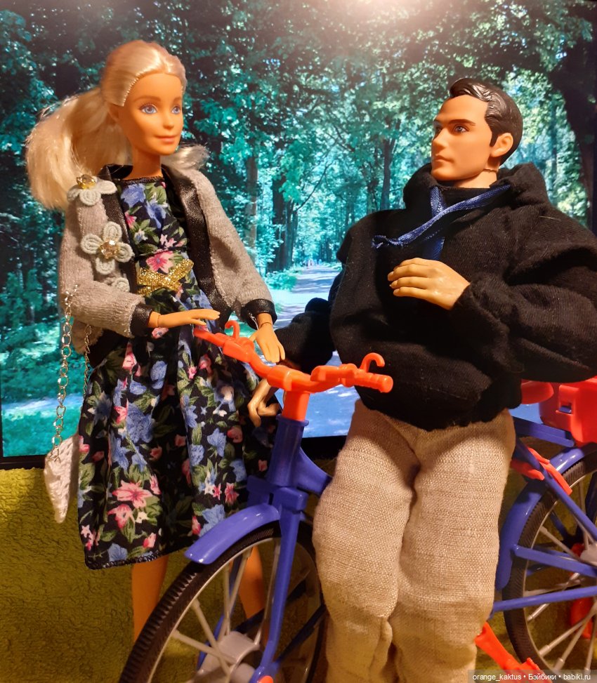 Цветы шиповника. Часть 17. Во всем виноват велосипед