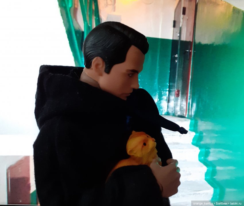 Цветы шиповника. Часть 17. Во всем виноват велосипед