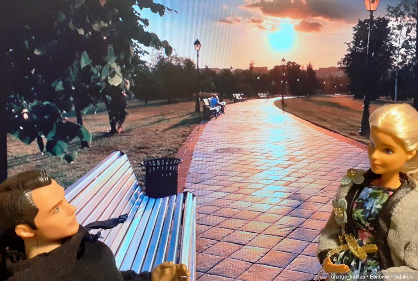 Цветы шиповника. Часть 17. Во всем виноват велосипед