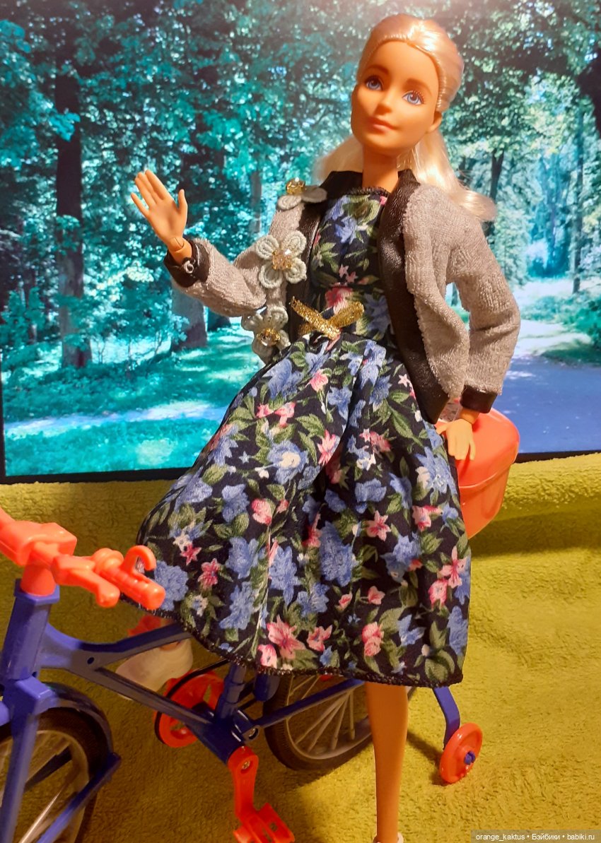 Цветы шиповника. Часть 17. Во всем виноват велосипед