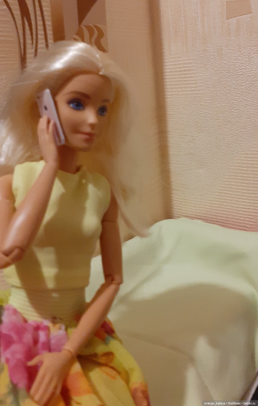 Цветы шиповника. Часть 19. У Кактуса