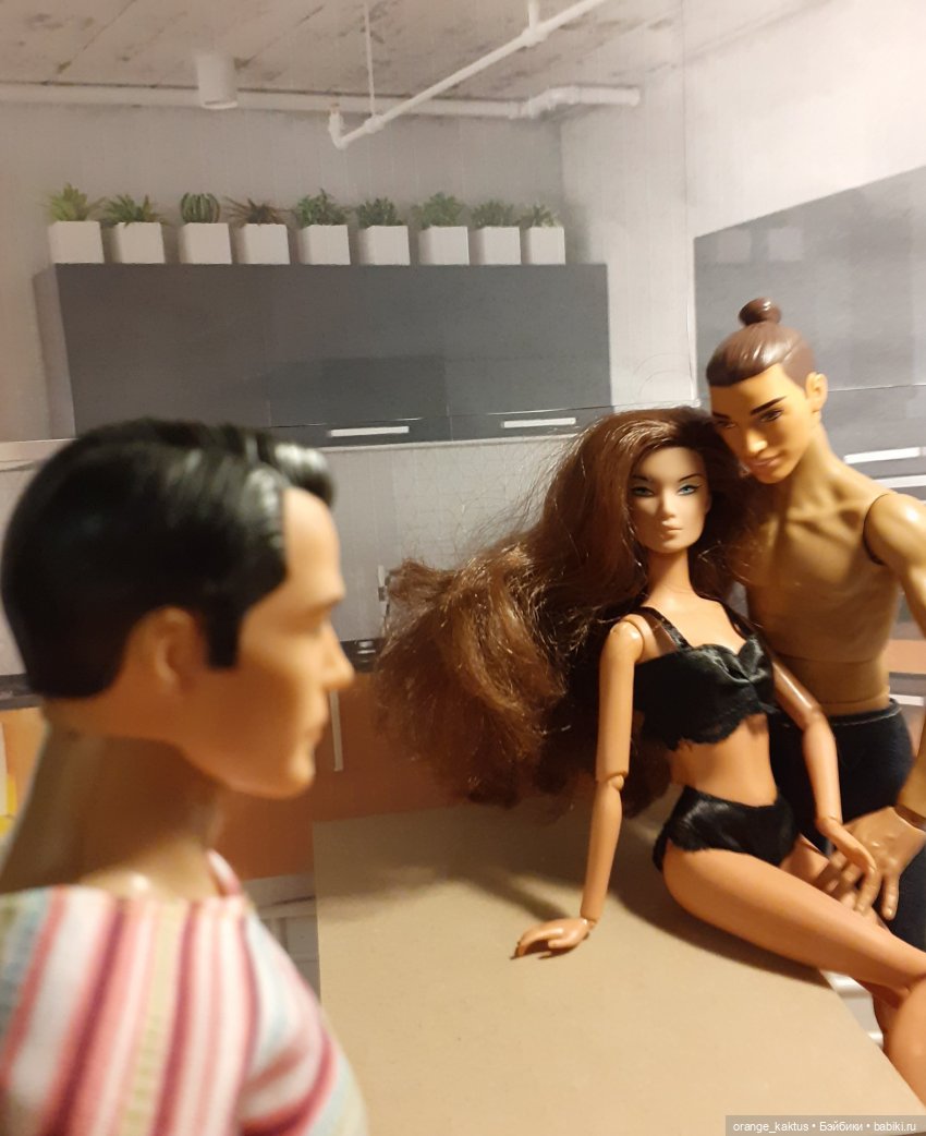 Цветы шиповника. Часть 19. У Кактуса