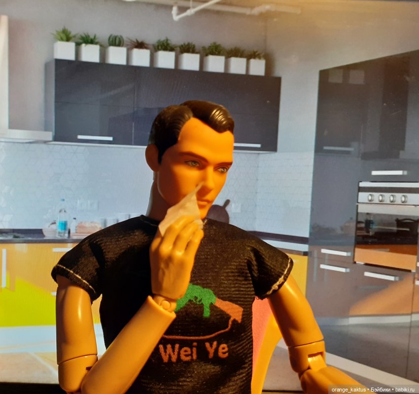 Цветы шиповника. Часть 20. Почти по-семейному