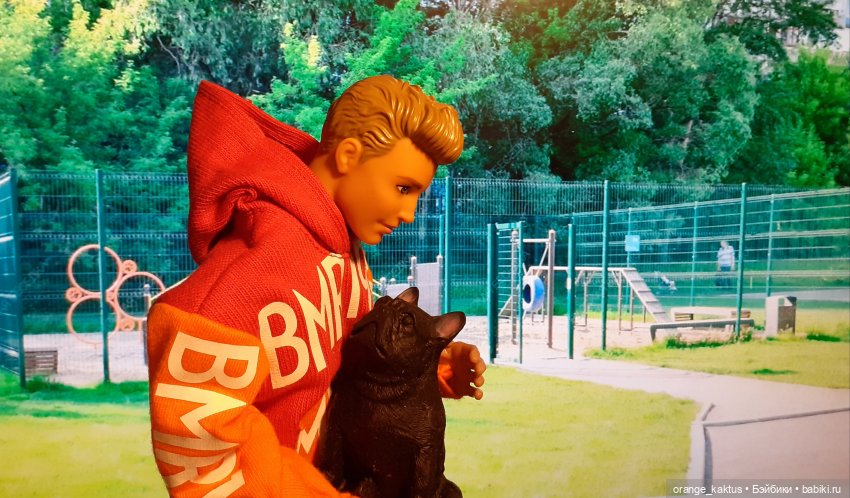 Цветы шиповника. Часть 22. "Мозг уехал в отпуск"