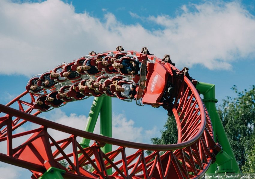 Цветы шиповника. Часть 22. "Мозг уехал в отпуск"