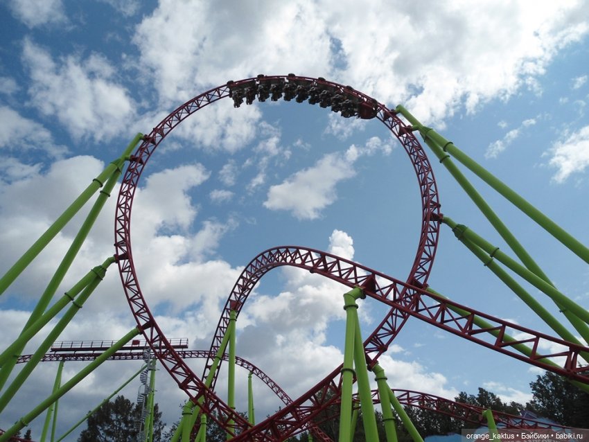 Цветы шиповника. Часть 22. "Мозг уехал в отпуск"