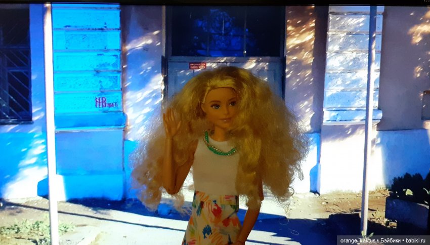 Цветы шиповника Часть 25. День рождения Кактуса