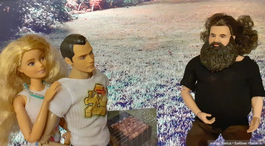 Цветы шиповника Часть 25. День рождения Кактуса