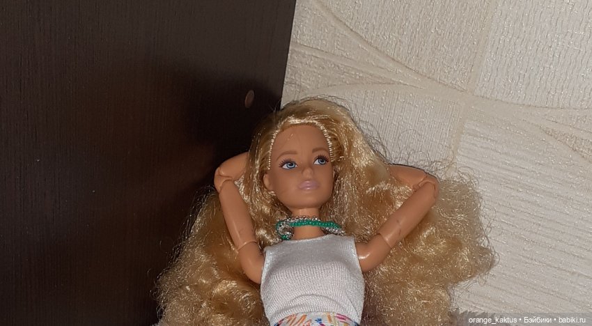 Цветы шиповника Часть 25. День рождения Кактуса