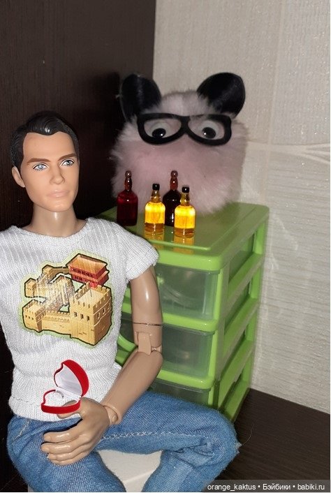 Цветы шиповника Часть 25. День рождения Кактуса