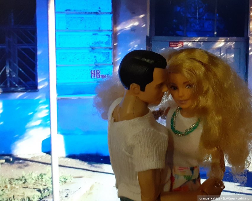 Цветы шиповника Часть 25. День рождения Кактуса