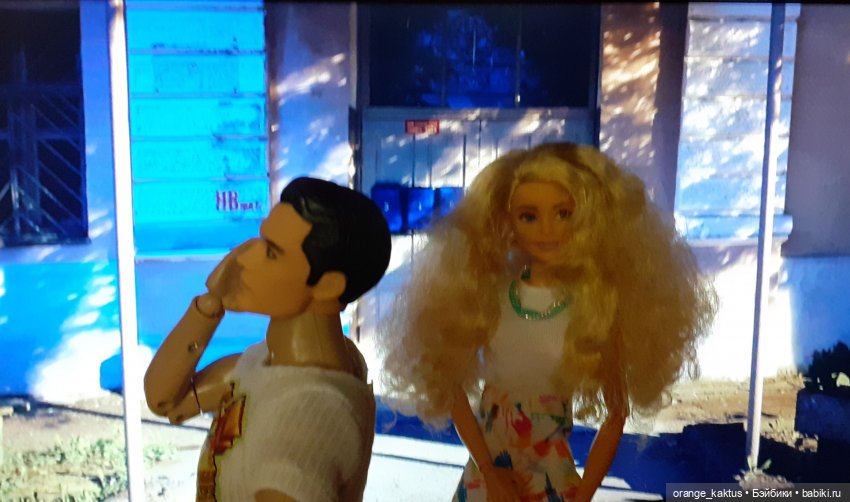 Цветы шиповника Часть 25. День рождения Кактуса