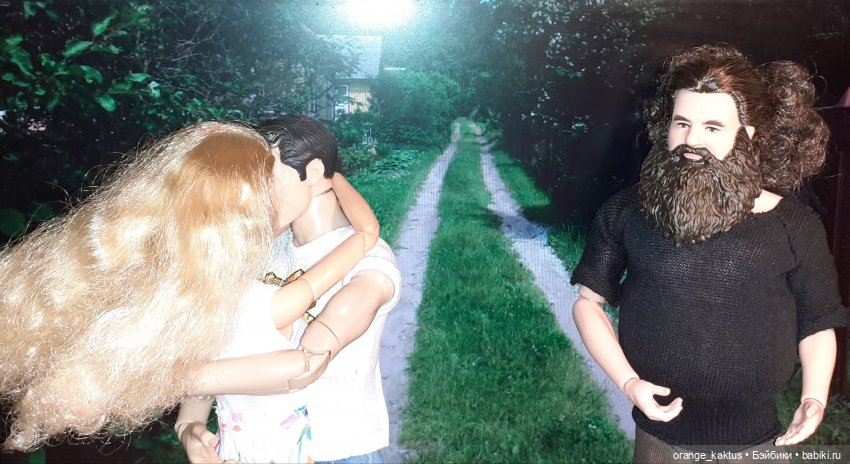 Цветы шиповника Часть 25. День рождения Кактуса