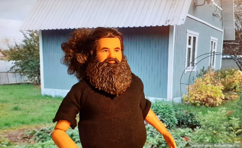 Цветы шиповника Часть 25. День рождения Кактуса