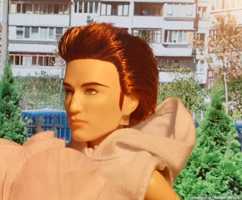 Цветы шиповника Часть 26. Неожиданный поворот