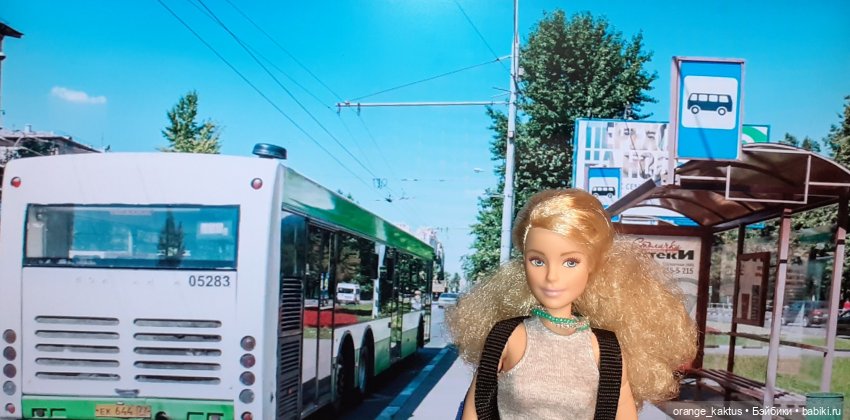 Цветы шиповника Часть 27. Побег