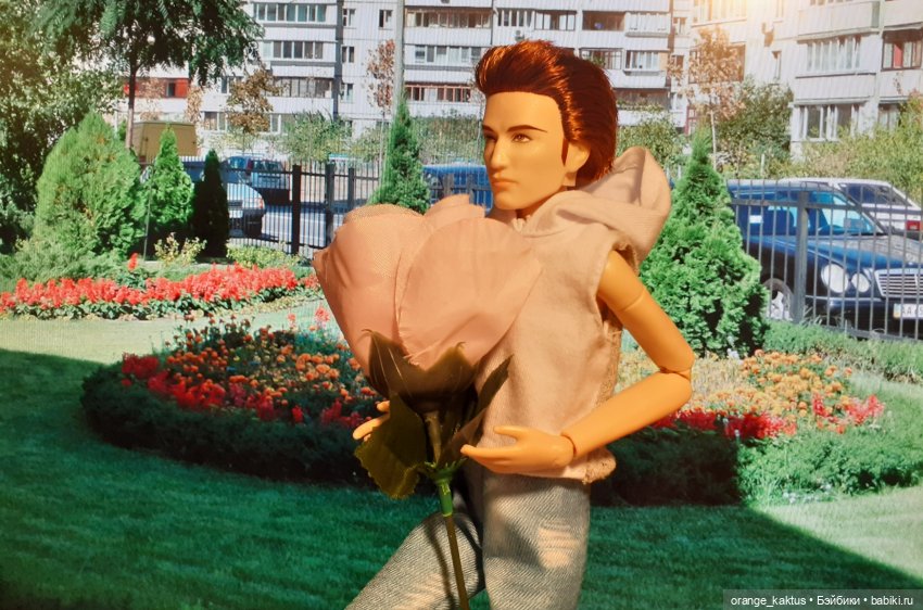 Цветы шиповника Часть 27. Побег (фото 4)