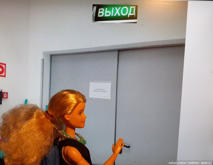 Цветы шиповника Часть 27. Побег