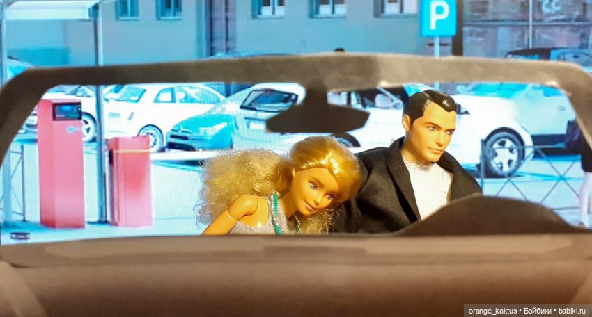 Цветы шиповника Часть 28. "Накрылся наш ресторан" (фото 4)