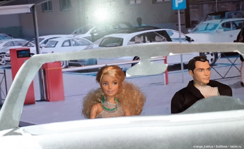 Цветы шиповника Часть 28. "Накрылся наш ресторан" (фото 5)