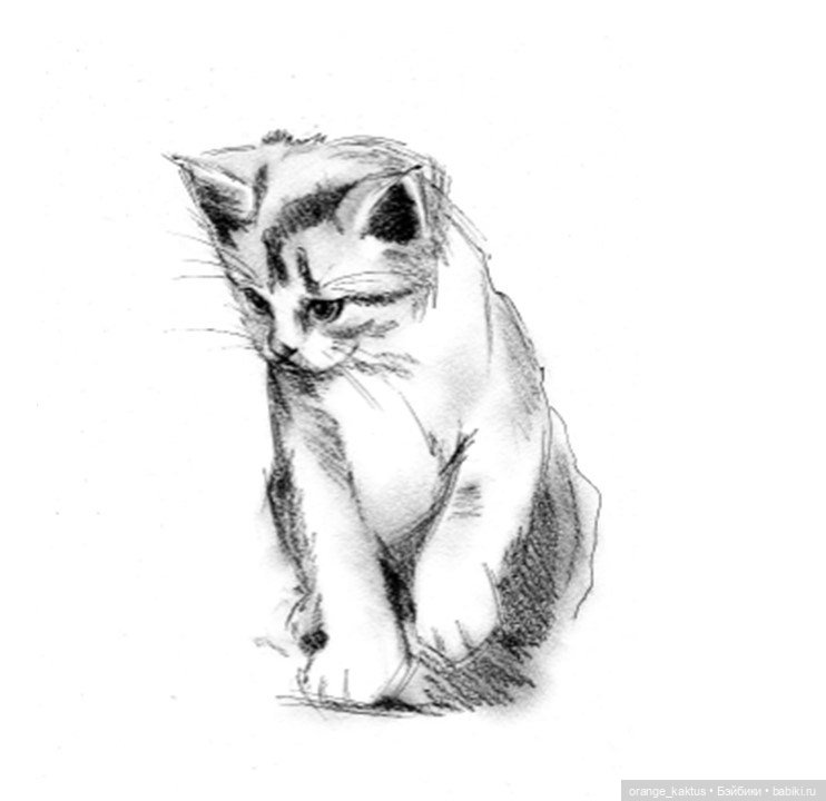 Забыть нельзя влюбиться Глава 19. В мастерской (фото 9)