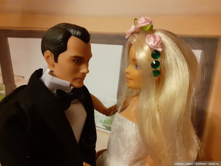 Свадьба Леры и Кактуса — Куклы Barbie (Барби): Looks