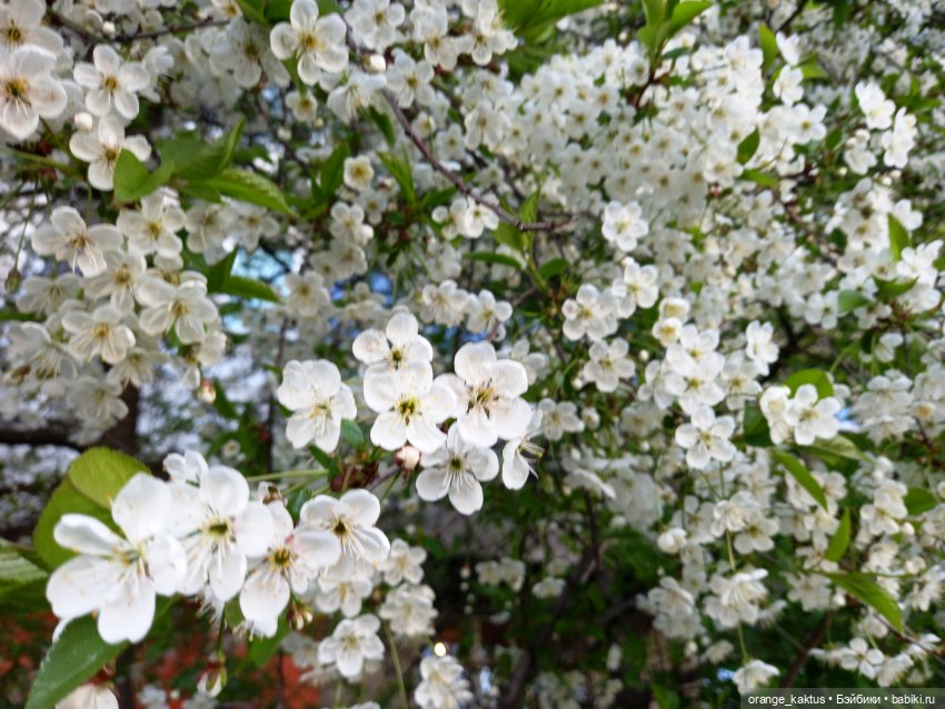 Обычный вечер обычной пятницы (фото 6)