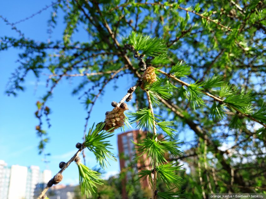 Обычный вечер обычной пятницы