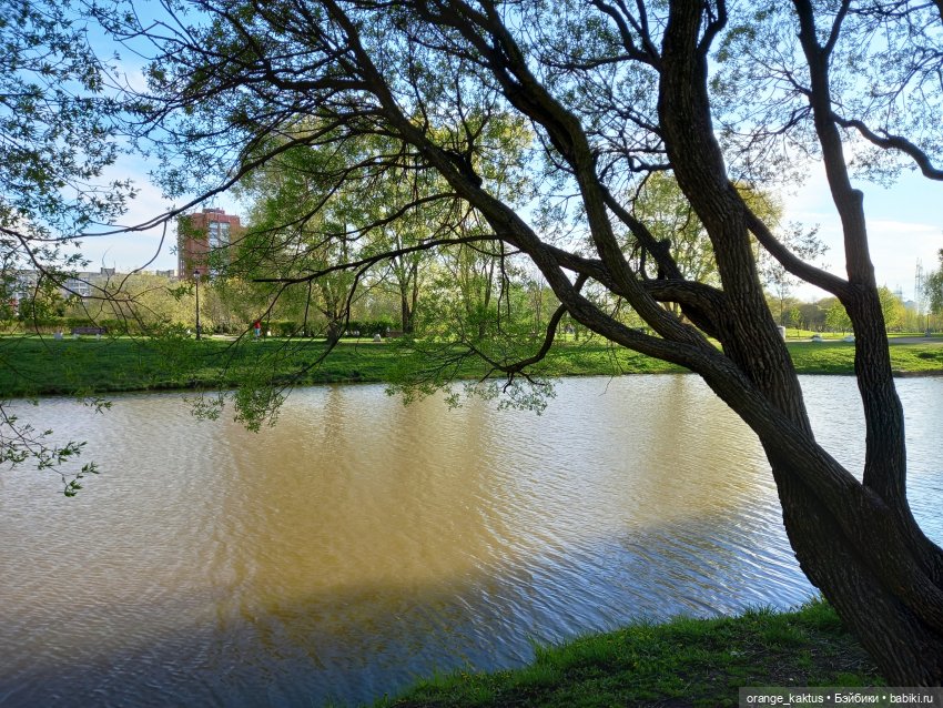 Обычный вечер обычной пятницы (фото 3)