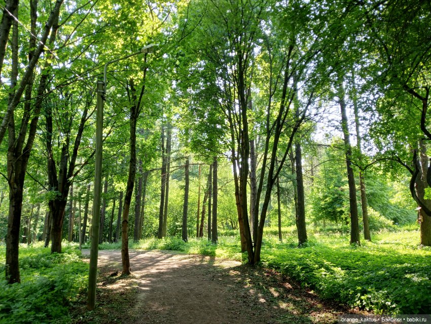 Первая прогулка Нелли — Гибриды шарнирных кукол (не БЖД): подбор тела (фото 5)