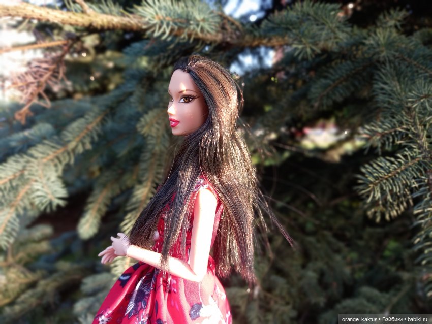 В лучах заходящего солнца (фото 9)