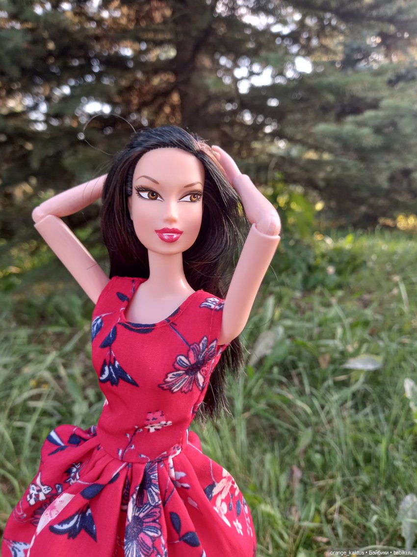 В лучах заходящего солнца (фото 10)