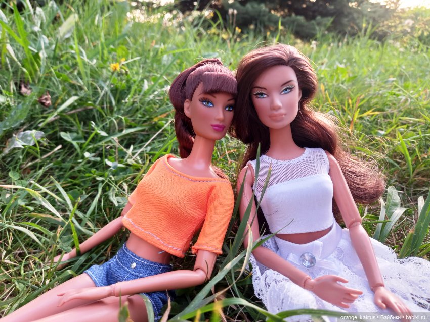 В лучах заходящего солнца