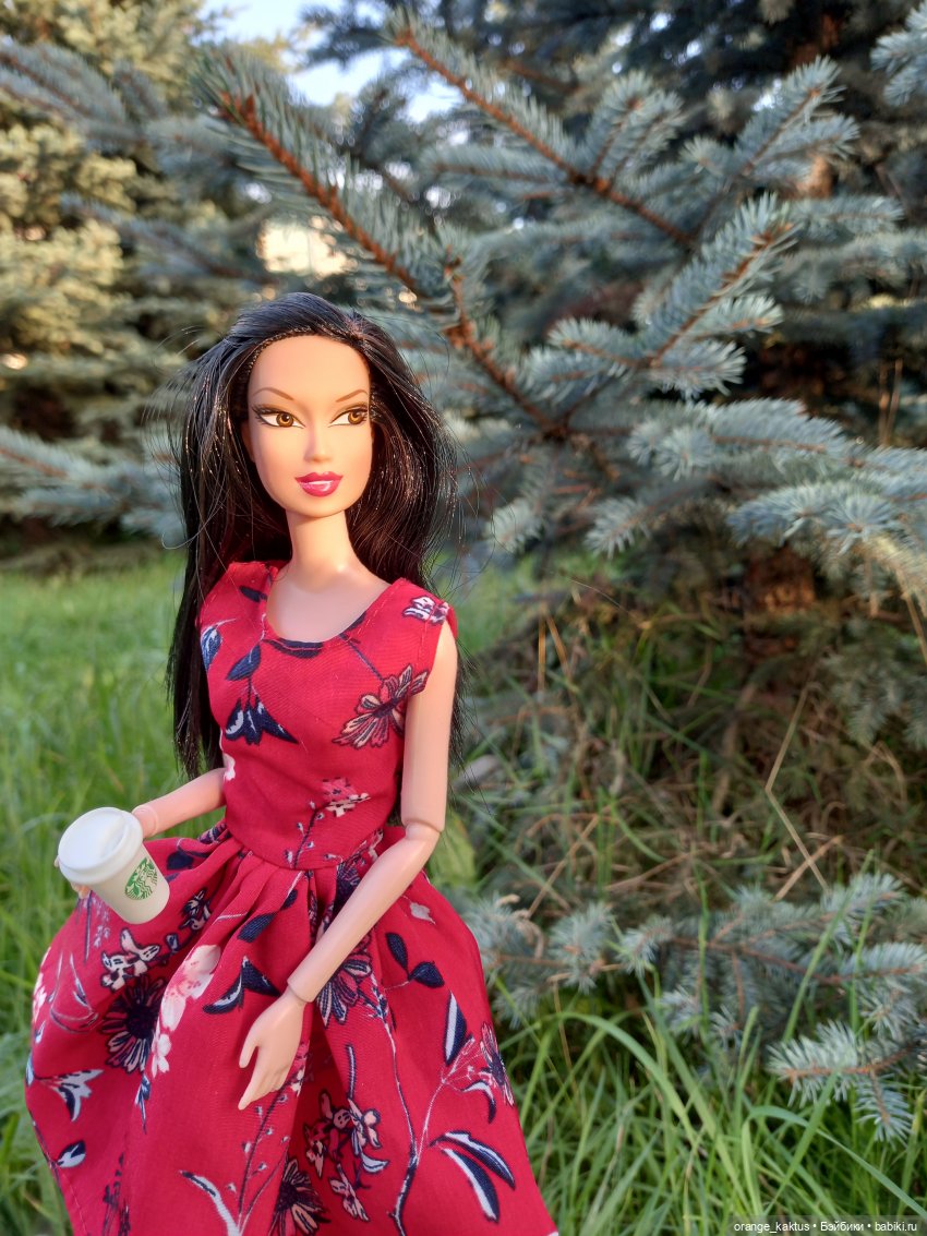 В лучах заходящего солнца