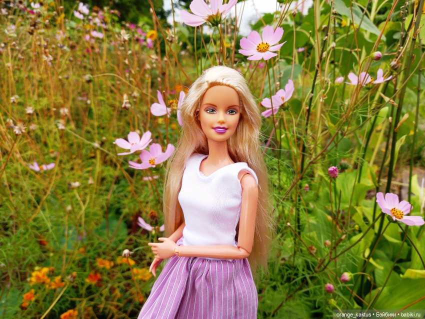 За несколько часов до осени (фото 5)