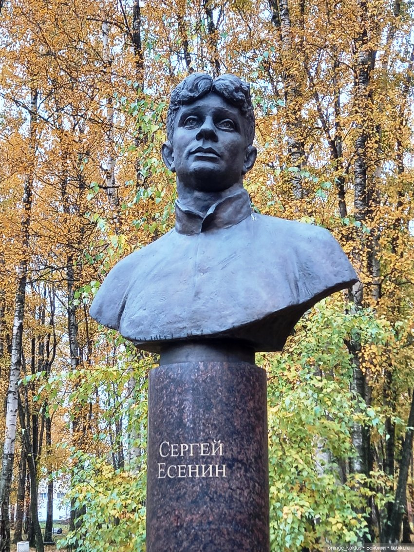 Билли Айлиш на прогулке — Гибриды шарнирных кукол (не БЖД): подбор тела (фото 10)