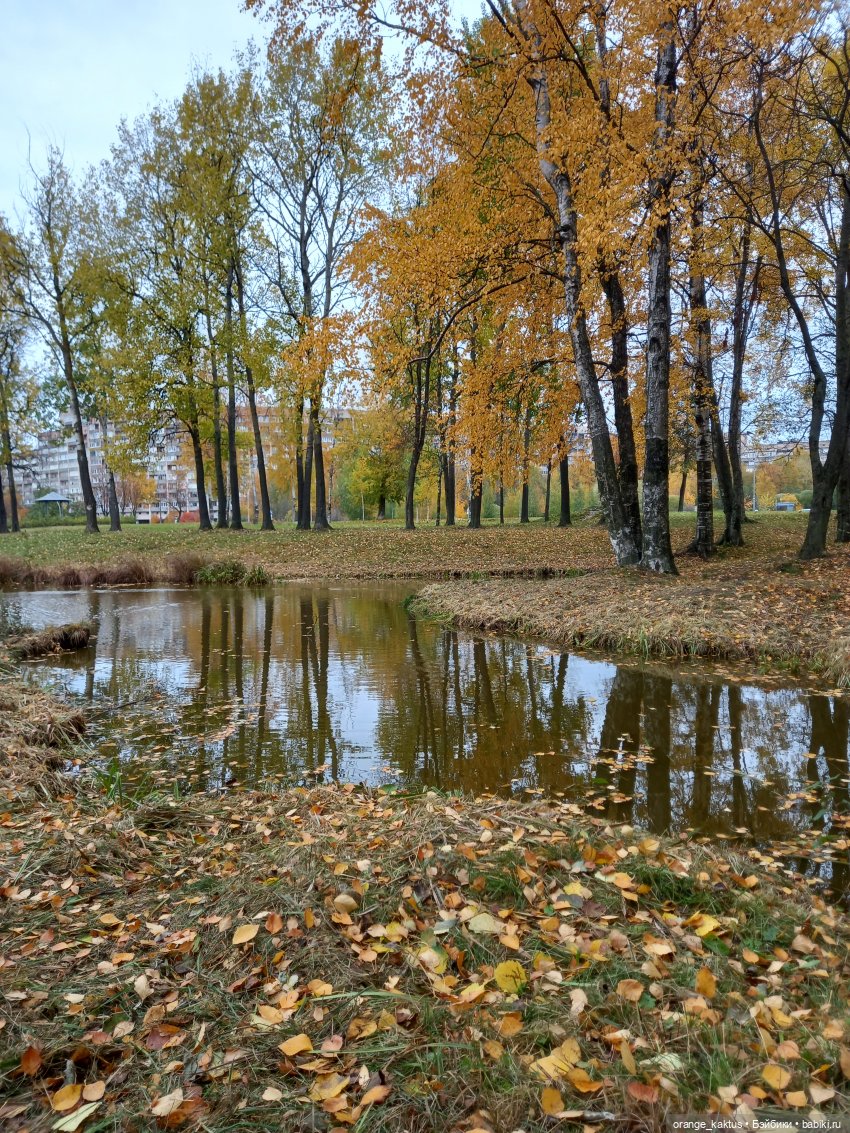 Билли Айлиш на прогулке — Гибриды шарнирных кукол (не БЖД): подбор тела (фото 9)