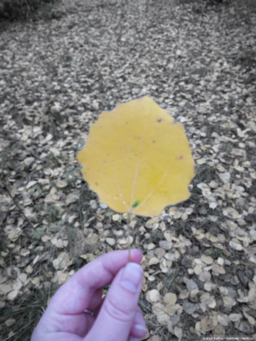 Билли Айлиш на прогулке — Гибриды шарнирных кукол (не БЖД): подбор тела