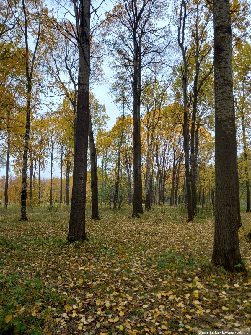 Билли Айлиш на прогулке — Гибриды шарнирных кукол (не БЖД): подбор тела (фото 3)