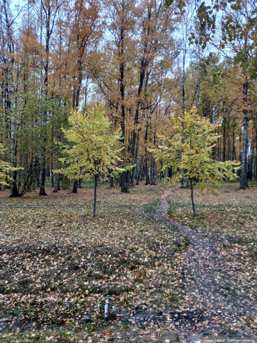 Билли Айлиш на прогулке — Гибриды шарнирных кукол (не БЖД): подбор тела
