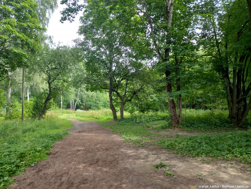 Лесная фея — Гибриды шарнирных кукол (не БЖД): подбор тела