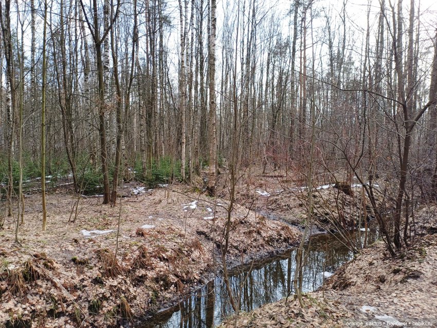 Весеннее — Аналоги Барби и куклы 1/6: клоны 90 (фото 9)