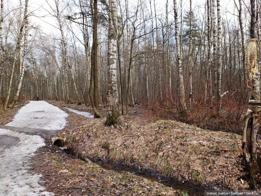 Весеннее — Аналоги Барби и куклы 1/6: клоны 90 (фото 7)