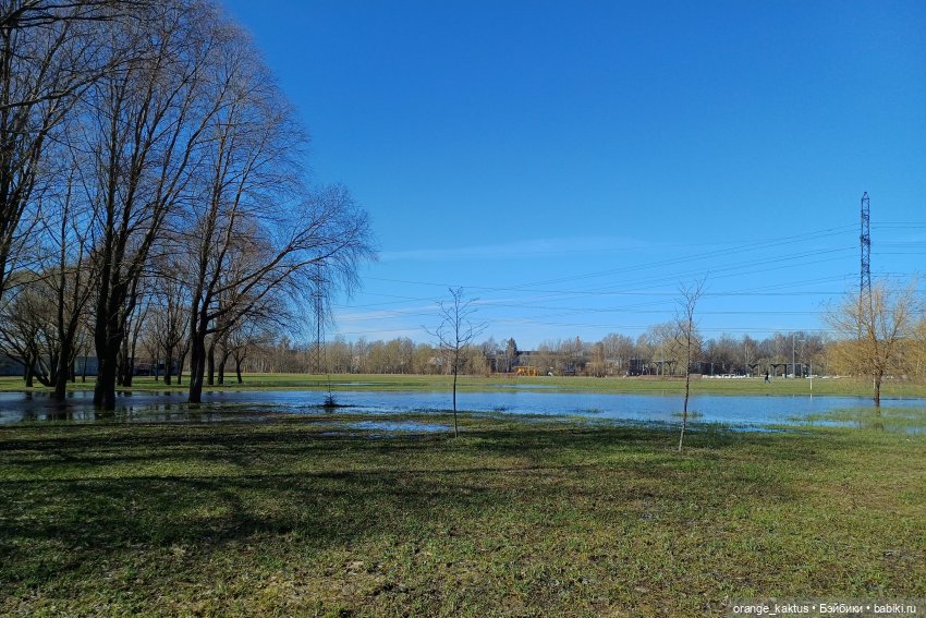 Есения в парке — Гибриды шарнирных кукол (не БЖД): подбор тела (фото 3)