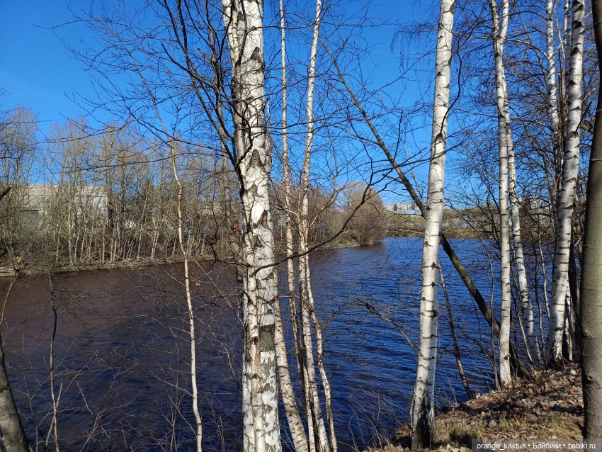 Есения в парке — Гибриды шарнирных кукол (не БЖД): подбор тела