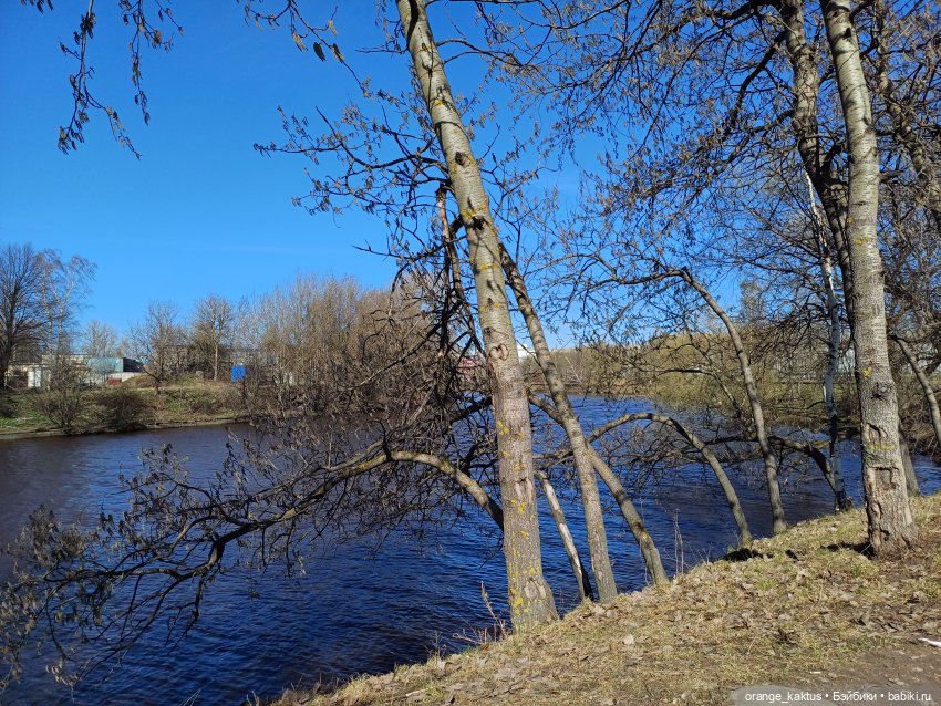 Есения в парке — Гибриды шарнирных кукол (не БЖД): подбор тела