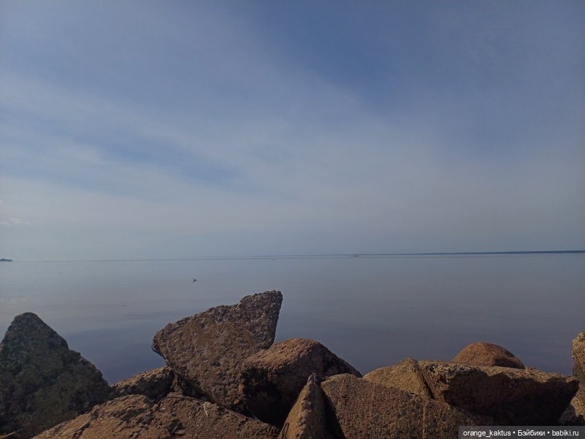 Женя в Сестрорецке Или в выходной да по пробкам