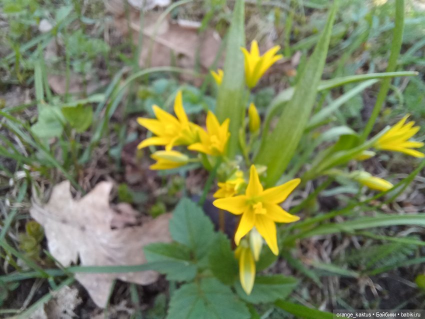Женя в Сестрорецке Или в выходной да по пробкам