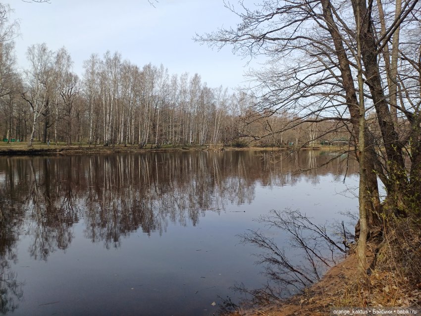 Женя в Сестрорецке Или в выходной да по пробкам